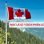 Bao Nhiêu Tuổi Được Đi Làm Ở Canada