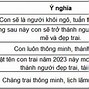 Tên Hay Cho Bé Trai Họ Trần Năm 2023